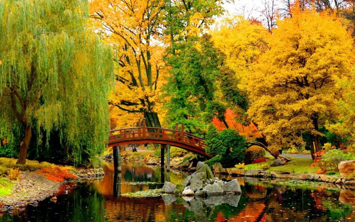 japanese_garden_in_wroclaw_lovely_lake_nice_hd-wallpaper-1550406